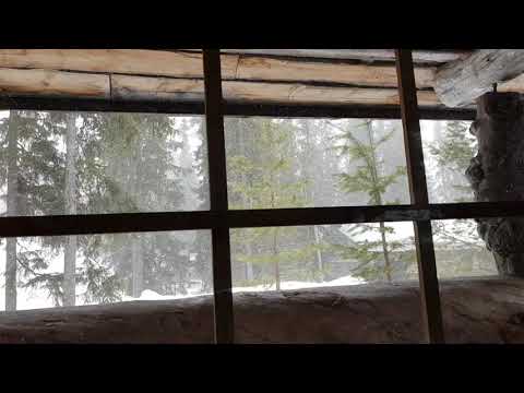 Snow Storm in