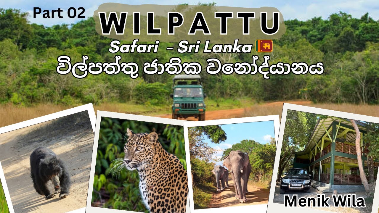 Day 02 | Wilpattu National Park | විල්පත්තු ජාතික වනෝද්‍යානය | Menikwila Bungalow | Wild Safari