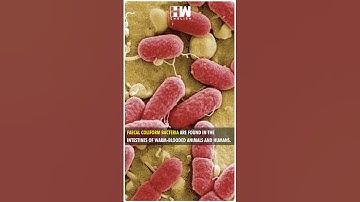 #Shorts | MahaKumbh Water is not Suitable for bathing (CPCB) report | Faecal Coliform Bacteria