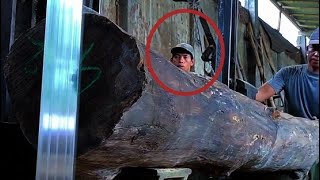 udah putus dari bongkotnya tapi kayu ini susah dibelah,kayu jati super aneh disawmill woodworking screenshot 4