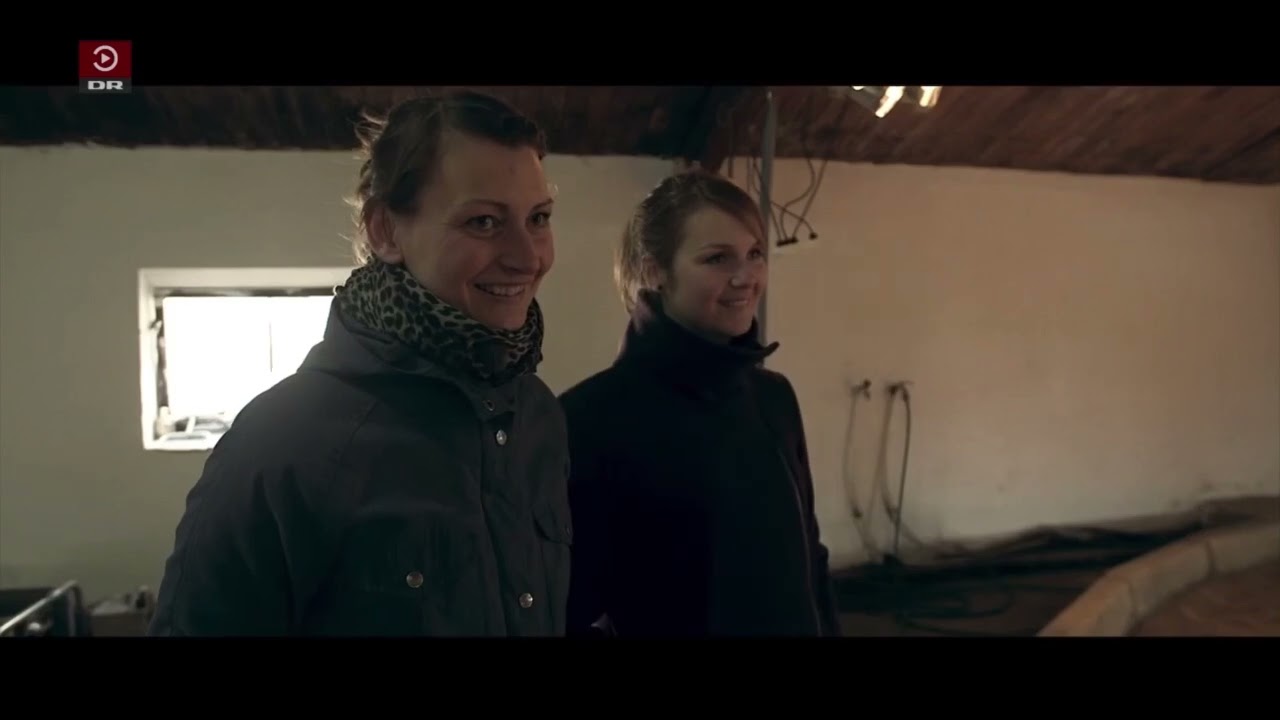 Sæson 2 Episode 5 Kan Jan tale med dyr?