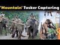 Capturing a Wild Elephant in Sakleshpur, Hassan | Tusker Capturing operation