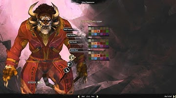 Guild Wars 2 Charr Elementalist Character Creation + Cut scene