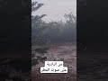 #امطار#الخير#الشتاء#الطقس#البادية#العروبية#اجواء#الحمدلله#نعمة#shorts#short#shortvideo#shortsvideo#