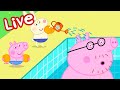 рџ ґ Peppa Pig SEASON 2 LIVE рџЋ FULL EPISODES рџЌї Adventures With Peppa рџЊџ Kids Cartoons рџ ґ рџ ґ Peppa Pig SEASON 2 LIVE рџЋ FULL EPISODES рџЌї Adventures With Peppa рџЊџ Kids Cartoons рџ ґ