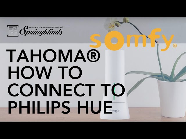 Somfy TaHoma Hub - Smart Home Gateway for RTS Blinds, Shades, Awnings -  Works with Alexa, Google Assistant, Philips Hue - Integrate with Brilliant  