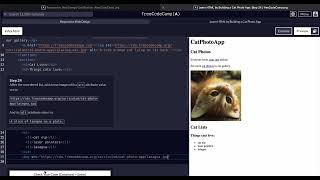 FreeCodeCamp - Responsive Web Design - Step 24 of 71 -  Learn HTML by Building a Cat Photo App