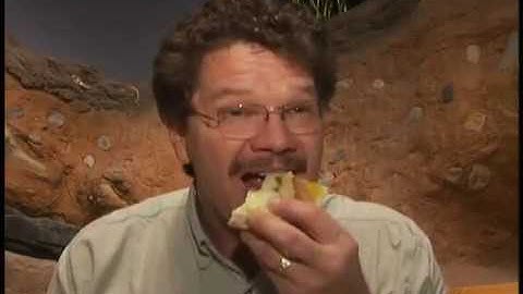 Rick Crosslin Science - Indiana Expeditions 101 Earth Science