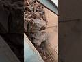 #Stonecrushers #rockcrusher #rockcrushing #jaw-crusher #stonecrusherplant #stonecrush #asmrsounds