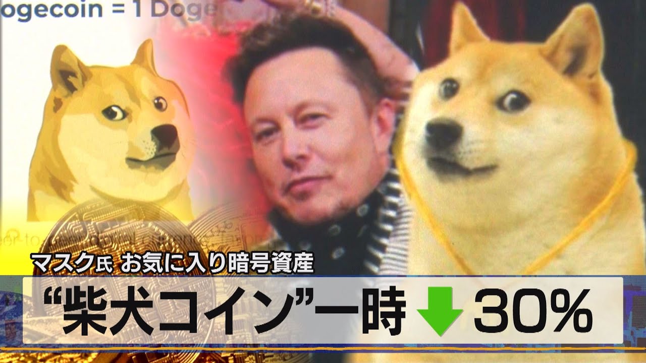 マスク氏 お気に入り暗号資産　“柴犬コイン”一時↓30％（2021年5月10日）
