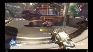 Roadhog Roadkill
