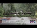 Fallen tree blocks Robersonville road, knocks out power