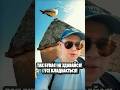 Так буває Не здавайся і усе владнається олександрзакшевський такбуває 