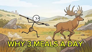 Why Humans Eat 3 Meals a Day (The Surprising History You Never Knew)