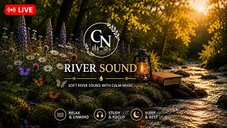🔴 LIVE Magical Forest Ambience ✨🌲 Gentle River Stream &amp; Soothing Music for Deep Sleep
