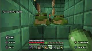 Minecraft a peaceful frog walk to the artist Kang Nuray let me down slowly