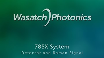 WP 785X - Detector and Signal