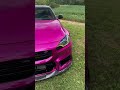 You hear a loud car so you turn your head & it’s pink, wyd?
