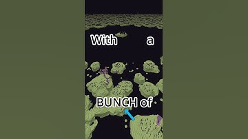 What Does The End Dimension Look Like?