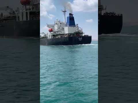 ولاصحبة ولاشلة دول طلعوا في الاخر اصنام احمدعامر