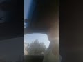 يرجف قلبي وين ايخطم من يلاي 