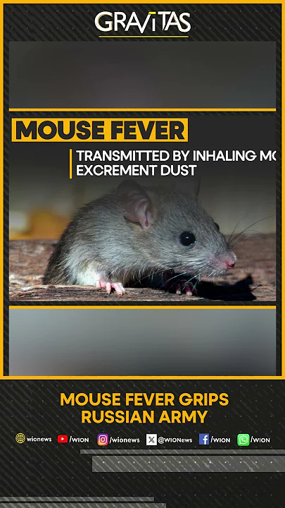 Gravitas: Mouse fever grips Russian Army | Gravitas Shorts