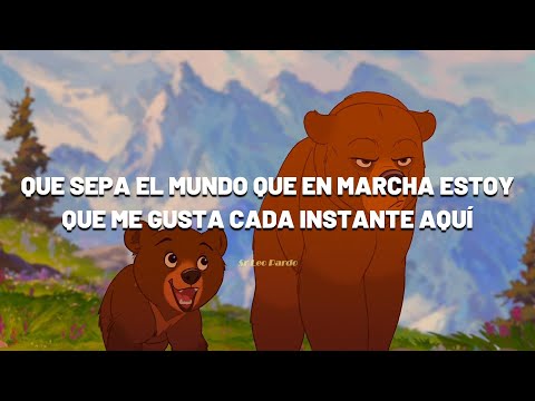 Tierra De Osos
