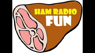 Ham Radio Fun: Exotic Vocal Snippet Escaping the International Fuzz (2020)