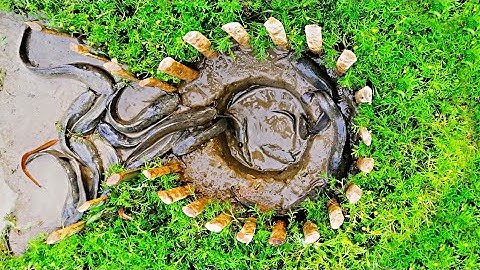 Amazing Hole Fish Trap | Smart Boy Build Fish Trap By Muddy soil | Get A Lot of Fish | GSBD
