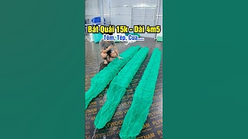 Bát Quái Etilen 15khung Dài 4m5 Đánh Tôm, Tép, Cua.. #luoidanhcaatrung