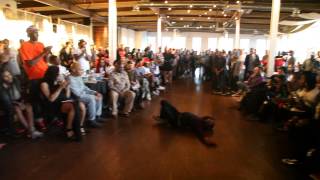 Baby Hurricane Khan Lss Part 9 Icon Stewart Iam Ball 2015