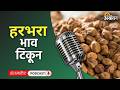 Cotton, Soybean Rate: कांदा बाजार, सोयाबीन दर, पपई भाव, शेवगा रेट | Agrowon