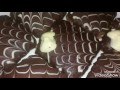 صابلي الشوكولاطة يدوب في الفم (حلويات   العيد 2017)