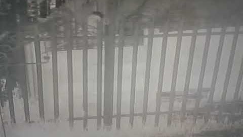 Suspect easily contends with razorwire - P&P Security