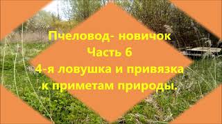 Пчеловод- новичок. Часть 6  &quot;Приметы природы и 4-я ловушка&quot;