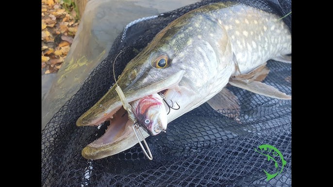 REALISTIC BATTERY Powered Fishing Lure SWIMS LIKE REAL BAIT FISH! 