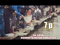 КФХ "Юницкого" М.Горка. изумительная рыбалка за 7 рублей