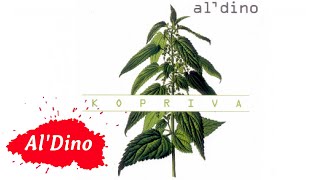 Al Dino - Samo je nebo dom (Official Audio) chords