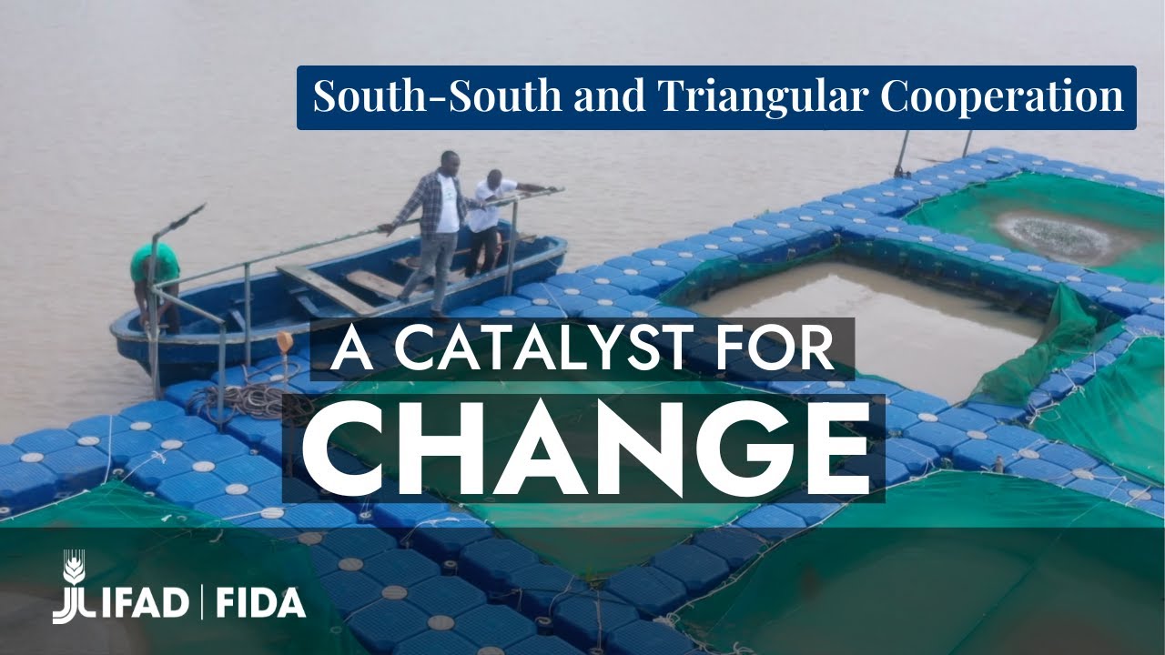 All you need to know about South-South and Triangular Cooperation