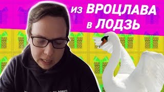 Голодные Лебеди. Новогодний Подарок. Вроцлав-Лодзь. Польша 2018