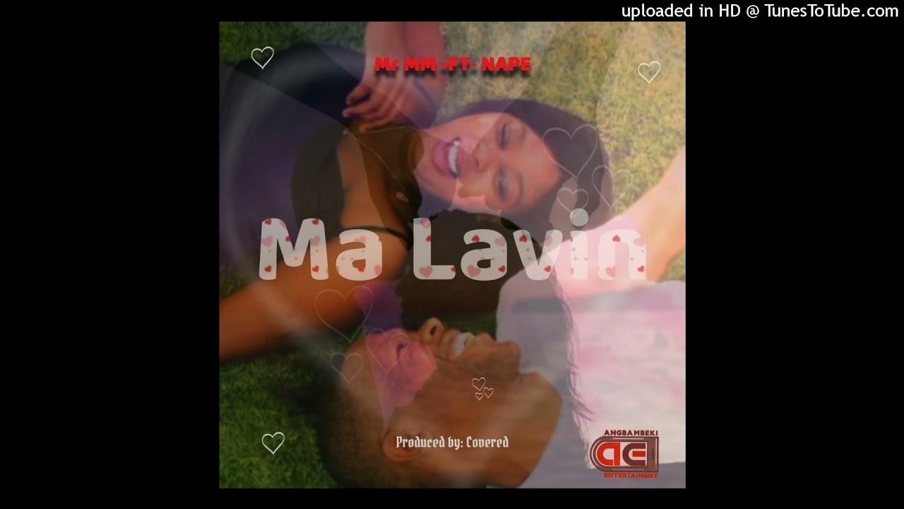 Mr MM feat Nape  DJ Covered   Malavin