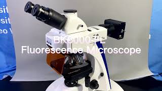 BK6000-FL Trinocular Fluorescence Microscope Chongqing Scope