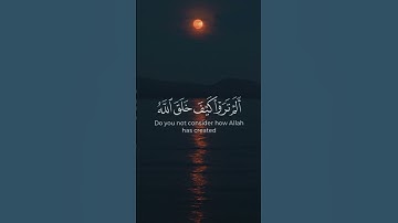 ما لكم لا ترجون لانه وقارا || سورة نوح آية 13 || #قرآن #القرآن_الكريم #ياسر_الدوسري