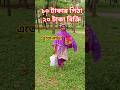 এতিম মেয়েটি ২০ টাকার পিঠা বিক্রির পাশাপাশি লিখেছেন ১৬ টি গান / আসলে জীবন কত সুন্দর