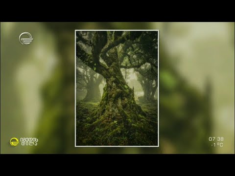 ულამაზესი ადგილები, სადაც ადამიანები არ ცხოვრობენ