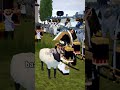 Bork LOVES Sheep ROBLOX Napoleonic Wars Roblox Shorts mp3