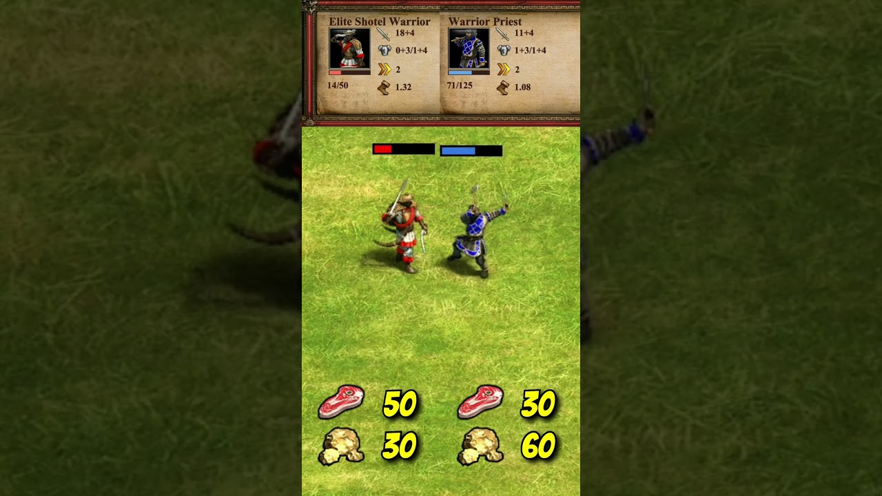 Elite Shotel Warrior vs Warrior Priest (AoE2) 
