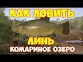 ЛИНЬ как ловить рр4 Комариное озеро русская рыбалка 4 Алексей Майоров