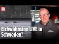 SCHWEDEN: Elchwanderung begeistert im TV Millionen von Zuschauern!