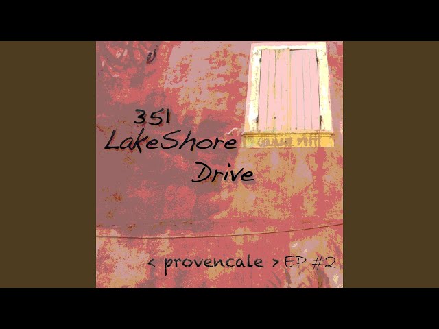 351 Lake Shore Drive - Flying Ants